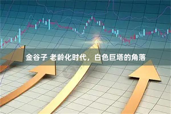 金谷子 老龄化时代，白色巨塔的角落