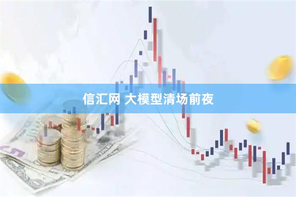 信汇网 大模型清场前夜